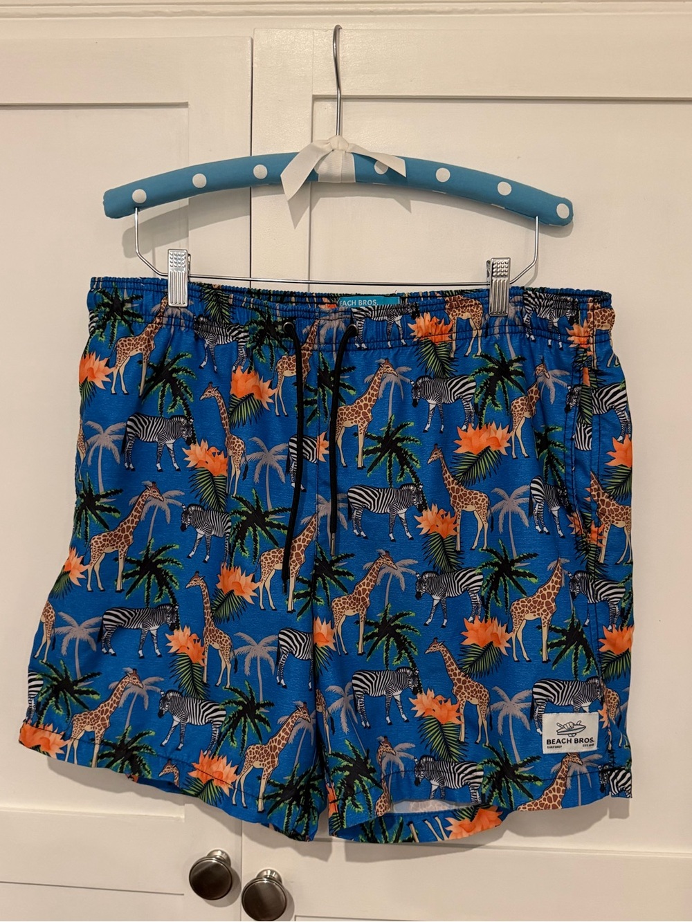 Beach Bros. Volley Swim Trunks